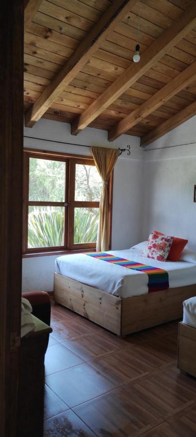 Cabanas Los Cactus 2 ウアスカ・デ・オカンポ エクステリア 写真